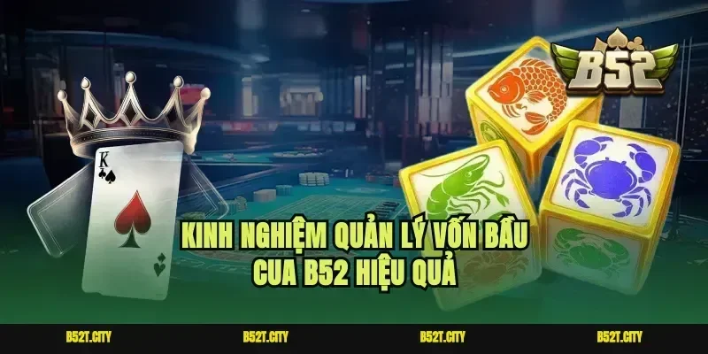 Kinh nghiệm quản lý vốn bầu cua B52 hiệu quả