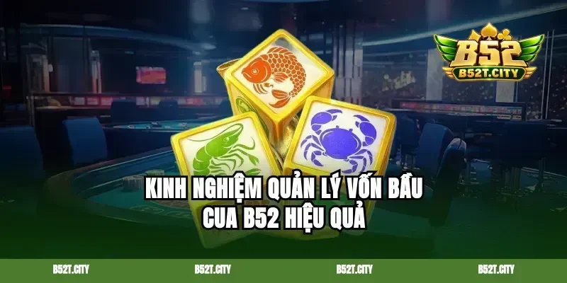 Kinh nghiệm quản lý vốn bầu cua B52 hiệu quả