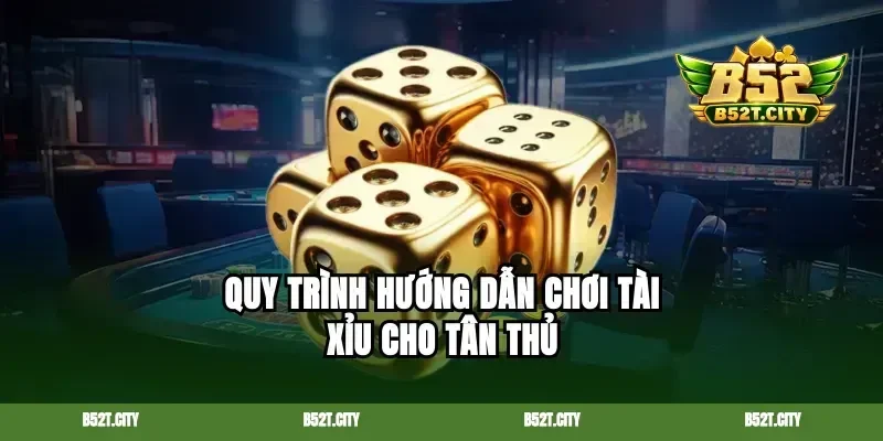 Quy trình hướng dẫn chơi tài xỉu cho tân thủ