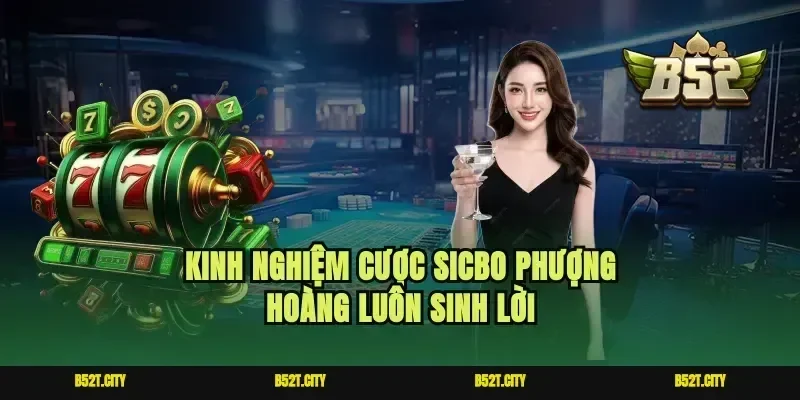 Kinh nghiệm cược Sicbo phượng hoàng luôn sinh lời